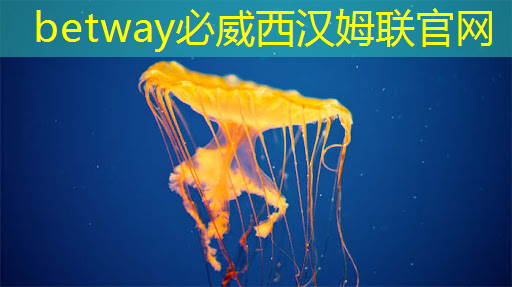 <strong>betway必威中国官方网站:单记章:车规级高性能芯片的创新,需要产业链各环节协同 | 第六届金辑奖 · 中国汽车产业影响力人物</strong> <strong>betway必威中国官方网站:单记章:车规级高性能芯片的创新,需要产业链各环节协同 | 第六届金辑奖 · 中国汽车产业影响力人物</strong>