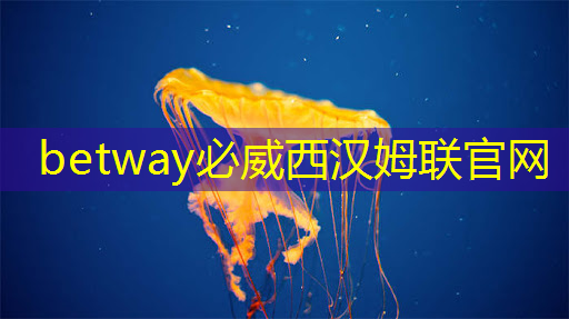 使用什么掌上游戏机芯片才能畅玩3D游戏? 使用什么掌上游戏机芯片才能畅玩3D游戏?