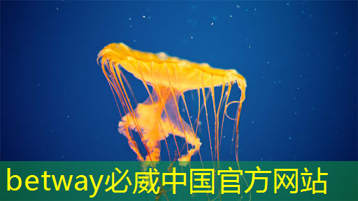 智慧城市停车建设宣传 智慧城市停车建设宣传