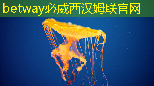 怎么评价工业互联网行业 怎么评价工业互联网行业