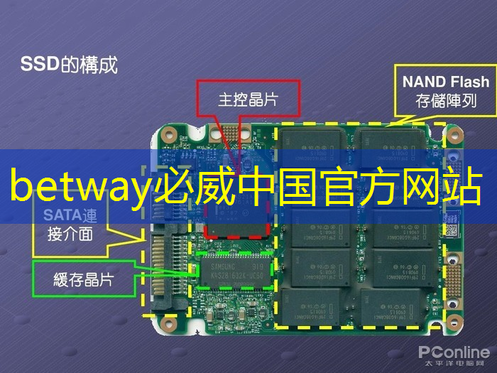 数拓智慧商显:智能数据分析,带来更高ROI 数拓智慧商显:智能数据分析,带来更高ROI