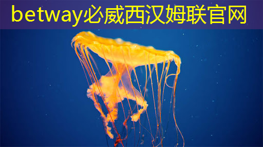 无锡agv智能物流系统 无锡agv智能物流系统