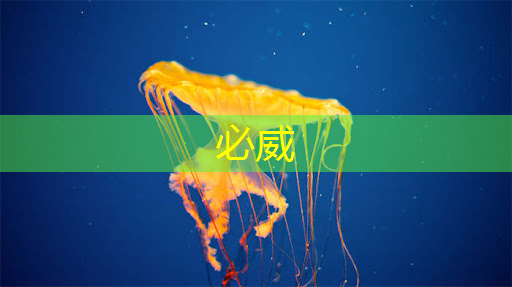 新型智慧城市探索地点 新型智慧城市探索地点