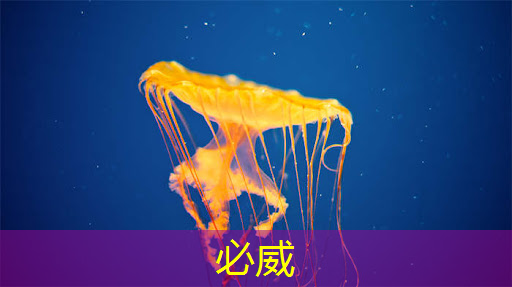 智能商显屏幕:为店主带来更高的回报率 智能商显屏幕:为店主带来更高的回报率