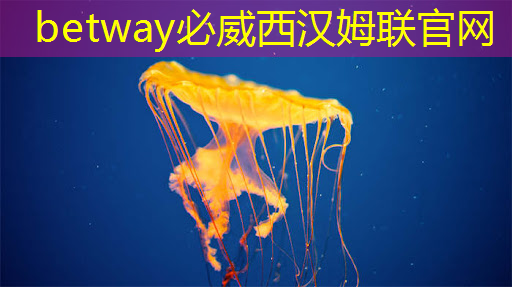 广告机智慧商显:秘密武器改变您的商业策略! 广告机智慧商显:秘密武器改变您的商业策略!