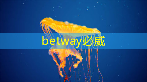TCL智慧商显技术:改写商业展示的黄金法则 TCL智慧商显技术:改写商业展示的黄金法则