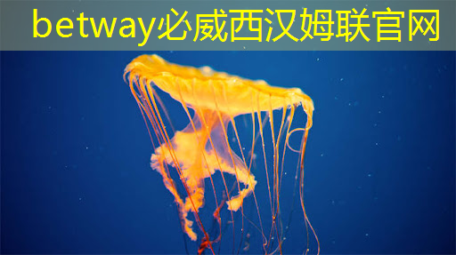 智慧商显设备助力企业充分展示品牌魅力 智慧商显设备助力企业充分展示品牌魅力