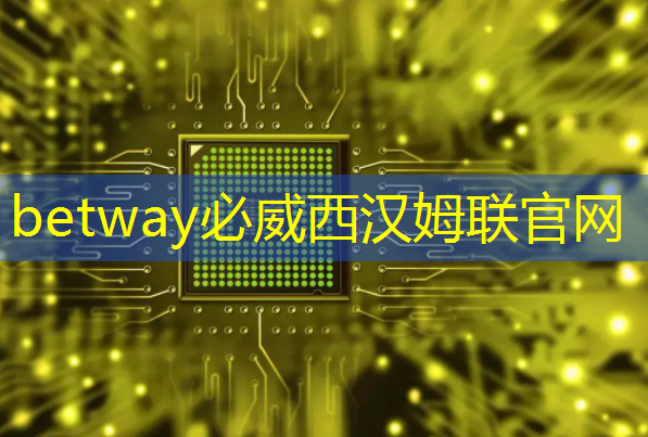 数拓智慧商显:探索数字化时代的全新商业模式 数拓智慧商显:探索数字化时代的全新商业模式