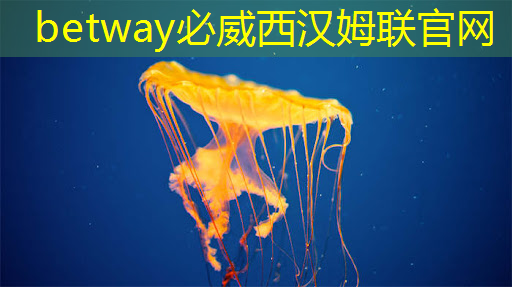 你知道投影仪 PCB 板的品牌有哪些吗? 你知道投影仪 PCB 板的品牌有哪些吗?