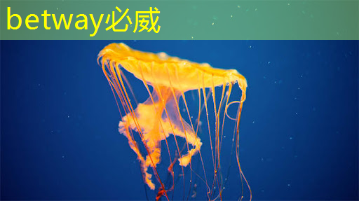 如何了解掌上游戏机芯片的规格和技术参数? 如何了解掌上游戏机芯片的规格和技术参数?