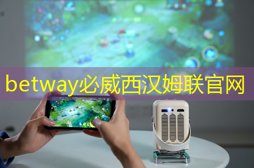 掌上游戏机芯片有哪些优势? 掌上游戏机芯片有哪些优势?