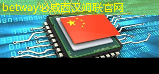 中国芯片标准发布,全球技术格局生变,美方紧张不已! 中国芯片标准发布,全球技术格局生变,美方紧张不已!