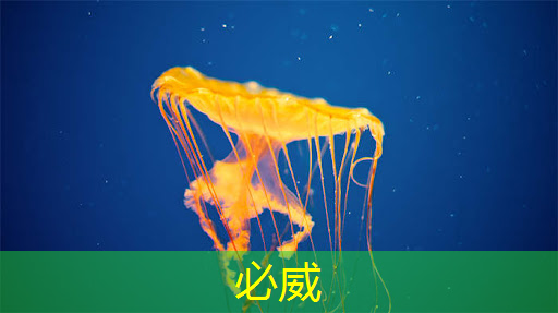 苹果手机芯片的历史演进 苹果手机芯片的历史演进