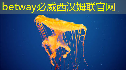 一颗白菜的“黑科技含金量”:从光追到芯片适配,拿来种地太亏了 一颗白菜的“黑科技含金量”:从光追到芯片适配,拿来种地太亏了