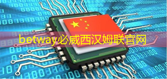“蔚小理”、比亚迪纷纷下场造芯片背后,自动驾驶软硬一体已成趋势 “蔚小理”、比亚迪纷纷下场造芯片背后,自动驾驶软硬一体已成趋势