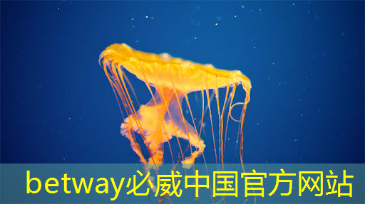 高通:智能汽车多了两颗高性能芯片 高通:智能汽车多了两颗高性能芯片