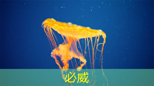 技术好文,芯片封装测试,一文看懂! 技术好文,芯片封装测试,一文看懂!