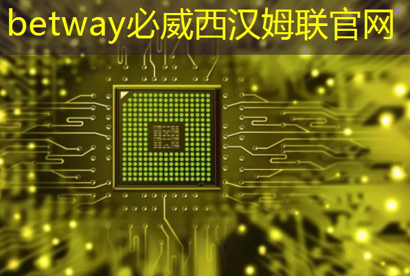 SoC芯片架构揭秘:从Arm核心到高速通信 SoC芯片架构揭秘:从Arm核心到高速通信