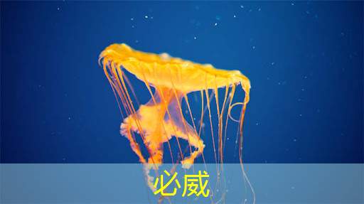 揭秘!芯片设计及制造全过程 揭秘!芯片设计及制造全过程