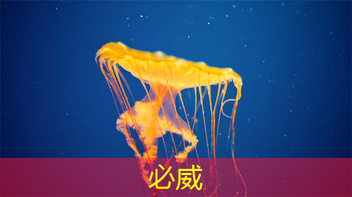 机会来临,人工智能芯片概念股,抓住市场主线! 机会来临,人工智能芯片概念股,抓住市场主线!