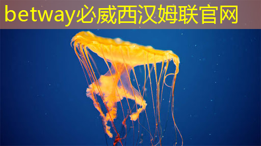 数字赋能中原农谷 “AI”增强农业“芯片” 数字赋能中原农谷 “AI”增强农业“芯片”