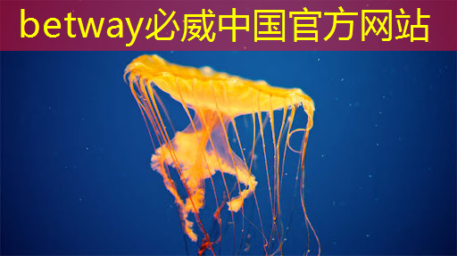 祥峰报告|人工智能芯片发展前景研究(Part III) 祥峰报告|人工智能芯片发展前景研究(Part III)
