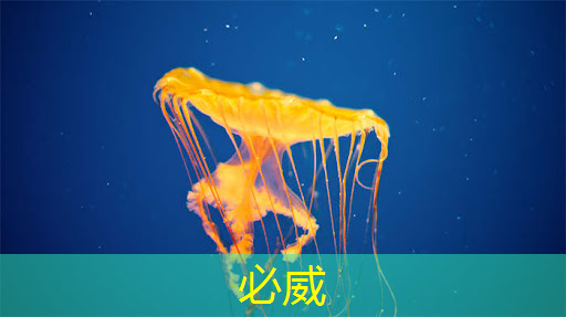 高性能、低成本、快速量产!国民科技开源单芯片NB智能锁方案 高性能、低成本、快速量产!国民科技开源单芯片NB智能锁方案