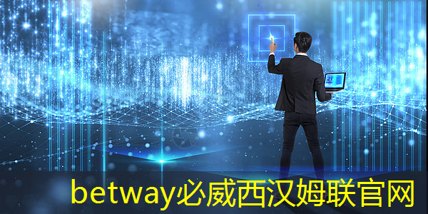 优化全部应届生?星纪魅族中止自研芯片 优化全部应届生?星纪魅族中止自研芯片