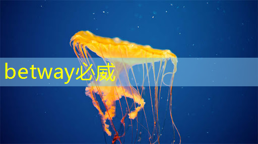 2.5D芯片封装热管理中金刚石异质集成 2.5D芯片封装热管理中金刚石异质集成