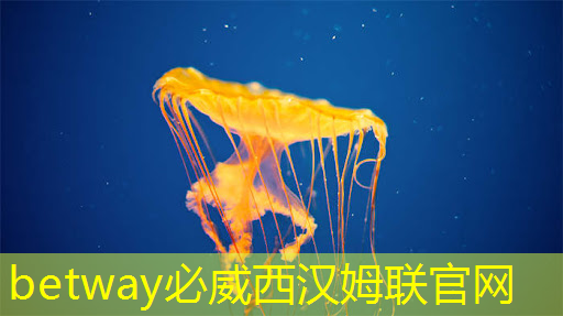 芯片禁令对中国企业是挑战还是机遇? 芯片禁令对中国企业是挑战还是机遇?