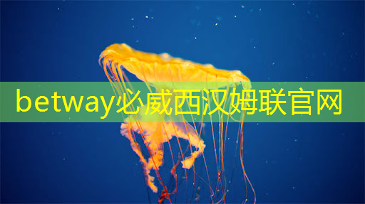 心态崩了,恨死华为,Nova12用过时芯片直接干了安卓旗舰的市场! 心态崩了,恨死华为,Nova12用过时芯片直接干了安卓旗舰的市场!