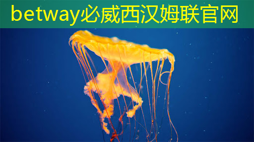 特大好消息,中国芯片首次出口 特大好消息,中国芯片首次出口