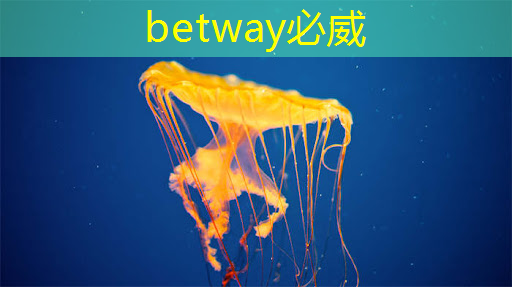 中国芯片崛起之路:进展、挑战与未来展望 中国芯片崛起之路:进展、挑战与未来展望